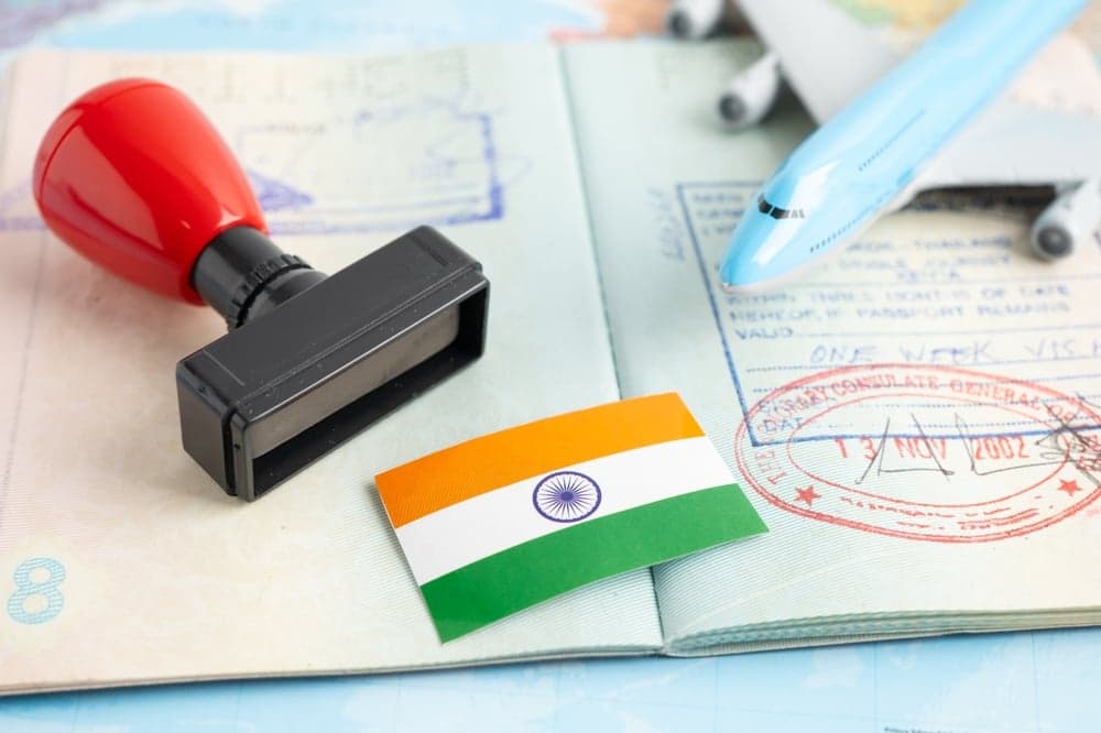 How to Check the India Visa Application Status Online?